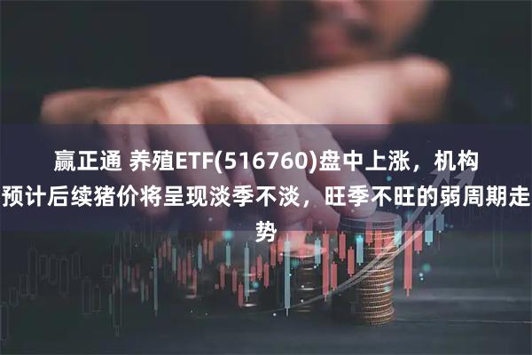 赢正通 养殖ETF(516760)盘中上涨，机构：预计后续猪价将呈现淡季不淡，旺季不旺的弱周期走势