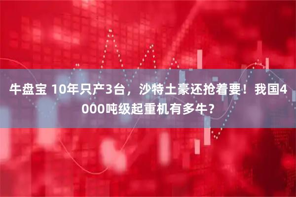 牛盘宝 10年只产3台，沙特土豪还抢着要！我国4000吨级起重机有多牛？