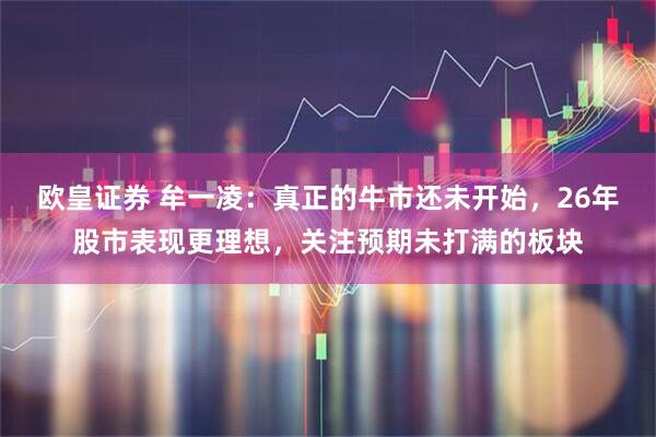 欧皇证券 牟一凌：真正的牛市还未开始，26年股市表现更理想，关注预期未打满的板块