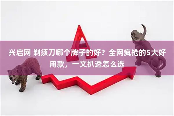 兴启网 剃须刀哪个牌子的好？全网疯抢的5大好用款，一文扒透怎么选