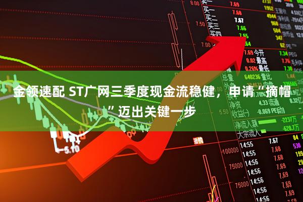 金领速配 ST广网三季度现金流稳健，申请“摘帽”迈出关键一步